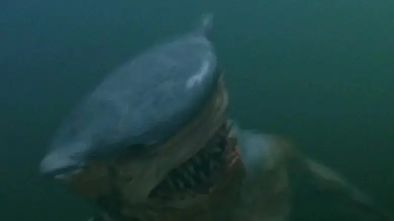 Hammerhead (2005)