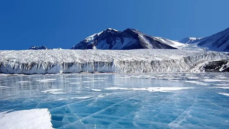 Antarctica: Journey Into the White Desert (2009)
