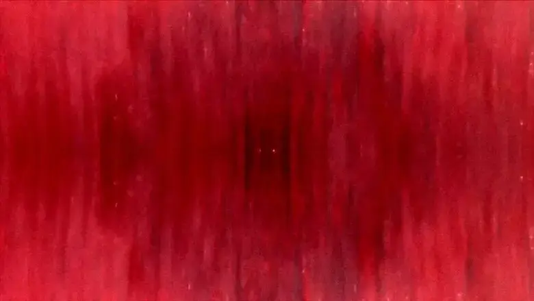 Form Of Void / Ruin Of Time (2025)