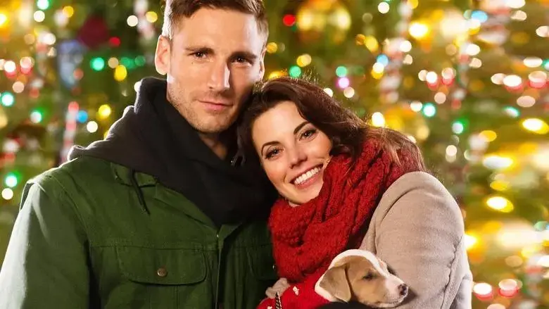 Debbie Macomber's Dashing Through the Snow (2015)