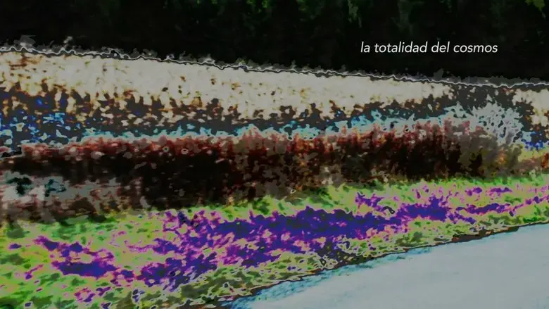 Leaves That Fall of the Tree (2017)