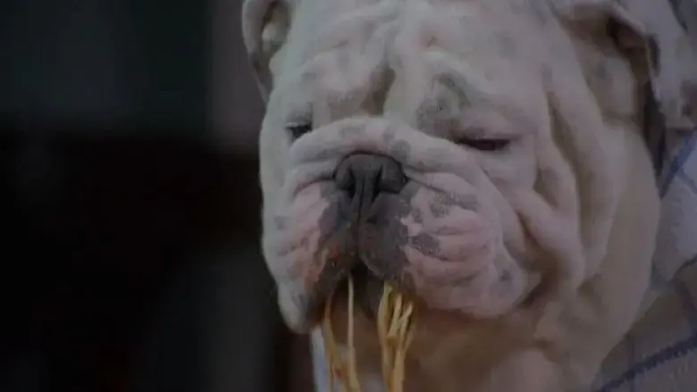 The Dogfather (2010)