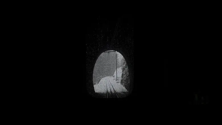 Snowy Train (2024)