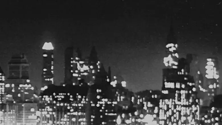 Out of Exile: The Photography of Fred Stein (2021)