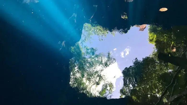 Cenote (2020)
