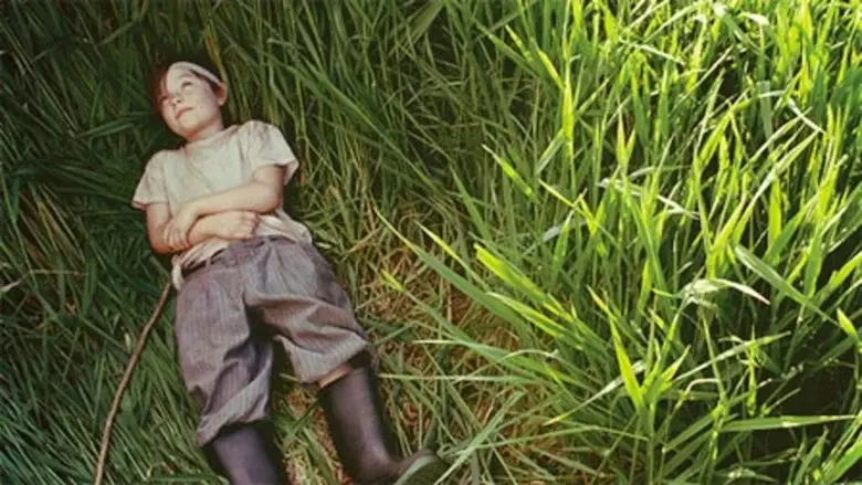 A River in the Woods (2011)
