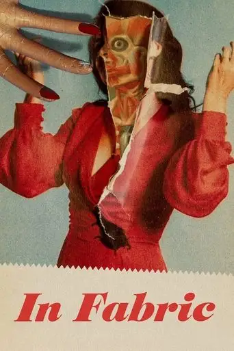 In Fabric (2018)