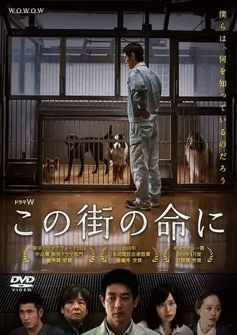 Through Their Eyes (2016)