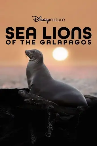 Sea Lions of the Galapagos (2025)
