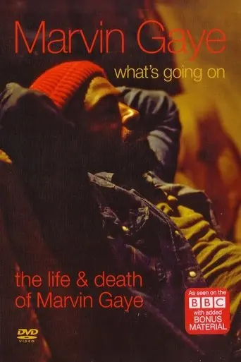 What's Going On: The Life and Death of Marvin Gaye (2008)