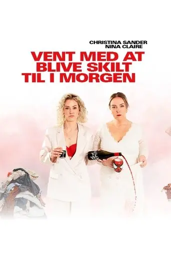 Vent med at blive skilt til i morgen (2025)