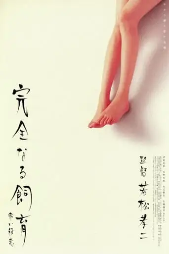 Perfect Education 6 (2004)