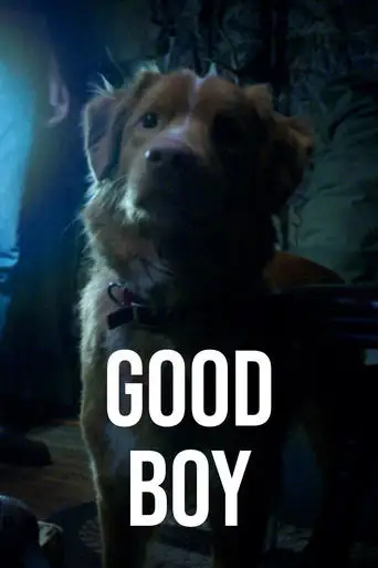 Good Boy (2025)