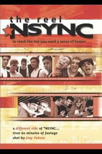The Reel NSYNC (2002)