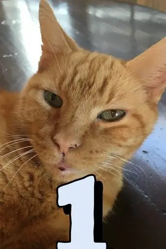 The Adventures of Murphy the Cat #1 (2018)