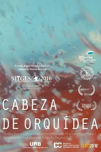 Orchid Head (2016)