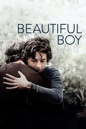 Beautiful Boy (2018)