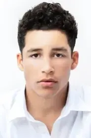 Andrew Liner