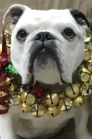 Nellie