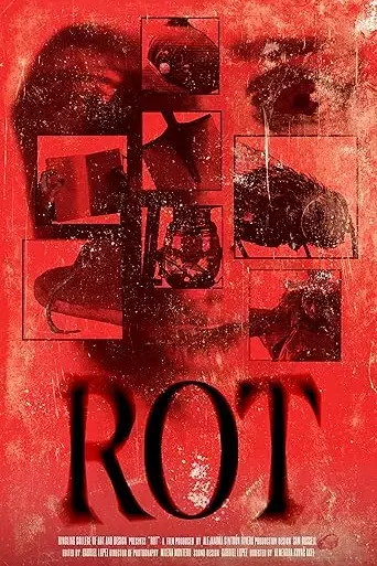 rot-2024