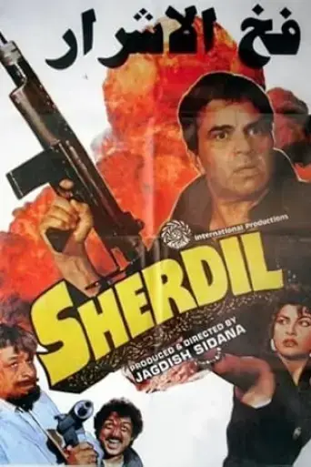 sher-dil-1990