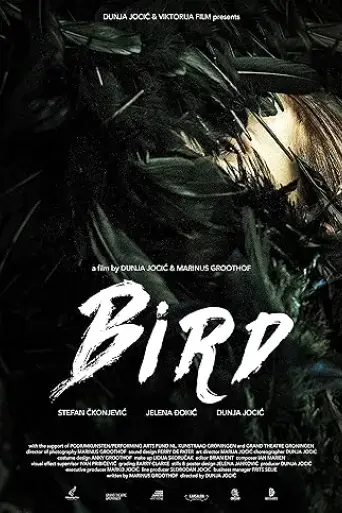 bird-2015