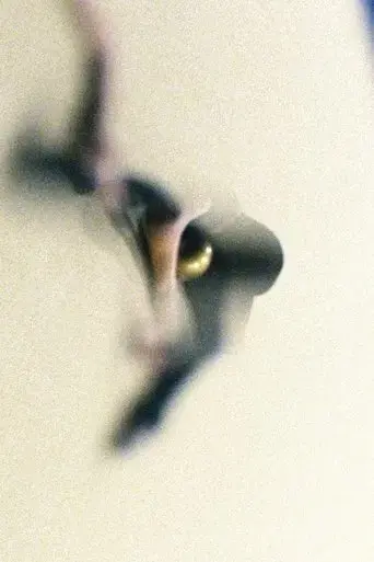 renchik-2019