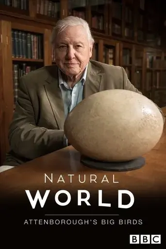 attenborough-s-big-birds-2015