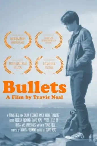 bullets-2017