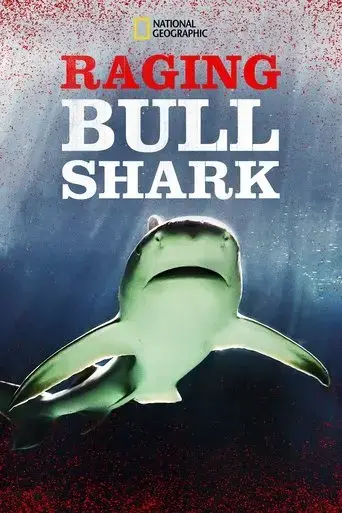 raging-bull-shark-2020