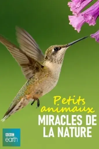 petits-animaux-miracles-de-la-nature-2017
