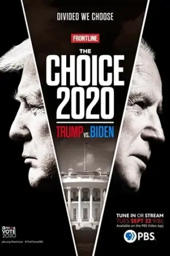 the-choice-2020-trump-vs-biden-2020