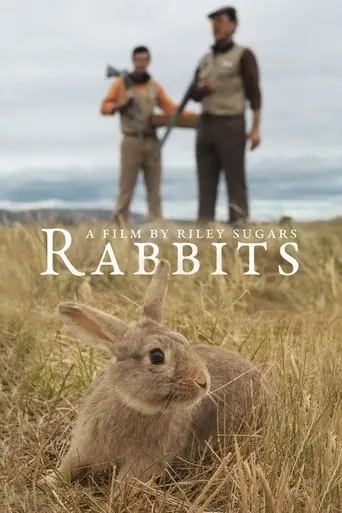 rabbits-2020