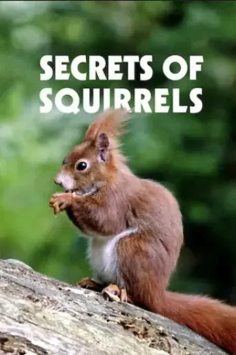 secrets-of-squirrels-2018