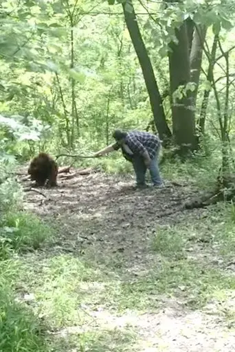 bigfoot-2017