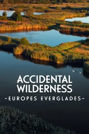 the-accidental-wilderness-europe-s-everglades-2021
