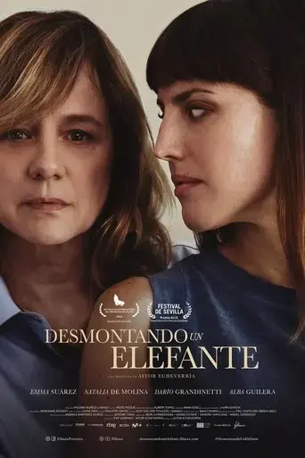 desmontando-un-elefante-2025