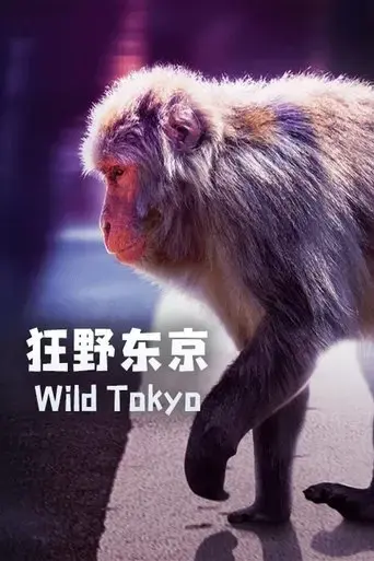 wild-tokyo-2021