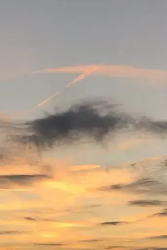 sunset-sonatina-2024