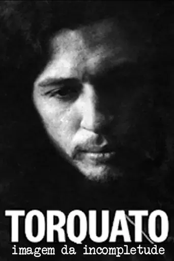 torquato-imagem-da-incompletude-2020