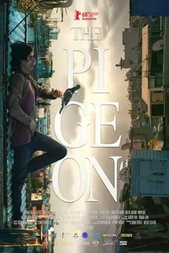 the-pigeon-2018