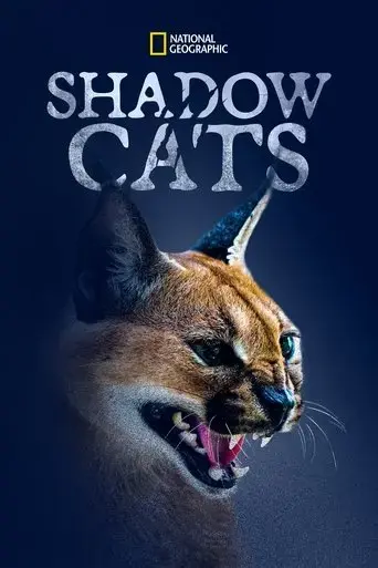 shadow-cats-2022