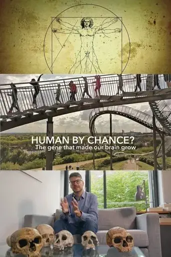 human-by-chance-2020