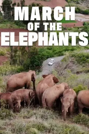 march-of-the-elephants-2022
