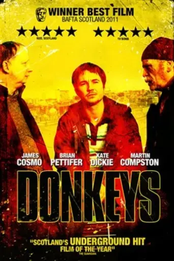 donkeys-2010