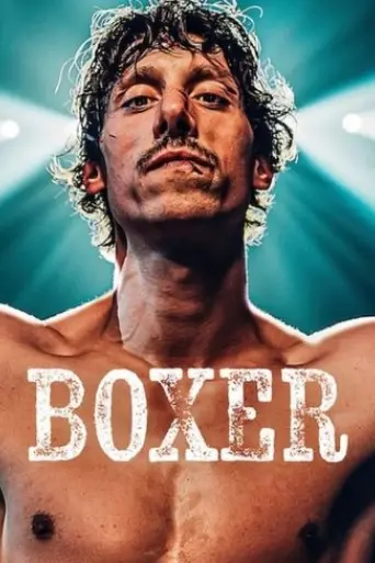 boxer-2024