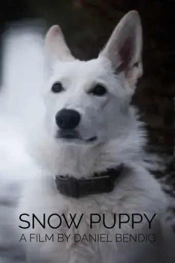 snow-puppy-2018