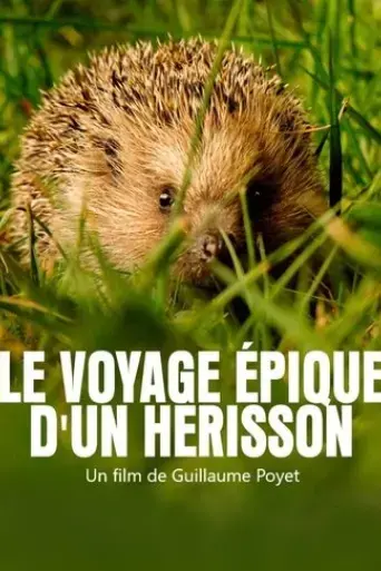 le-voyage-epique-d-un-herisson-2020
