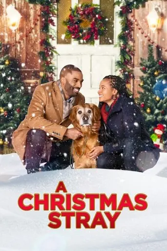 a-christmas-stray-2021