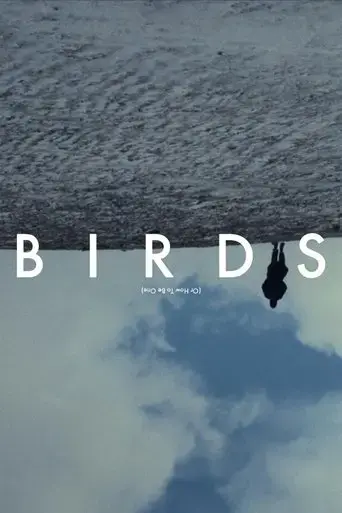 birds-or-how-to-be-one-2020